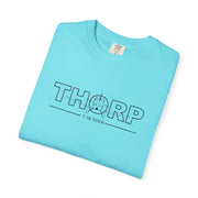 Thorp T-18 Tiger front and Thorp wireframe back Garment-Dyed T-Shirt |
